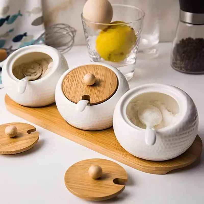 Elegant Ceramics Seasoning Jar Set