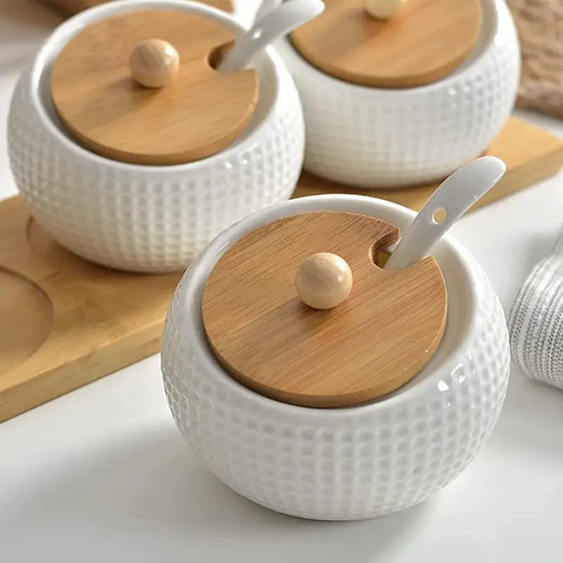 Elegant Ceramics Seasoning Jar Set