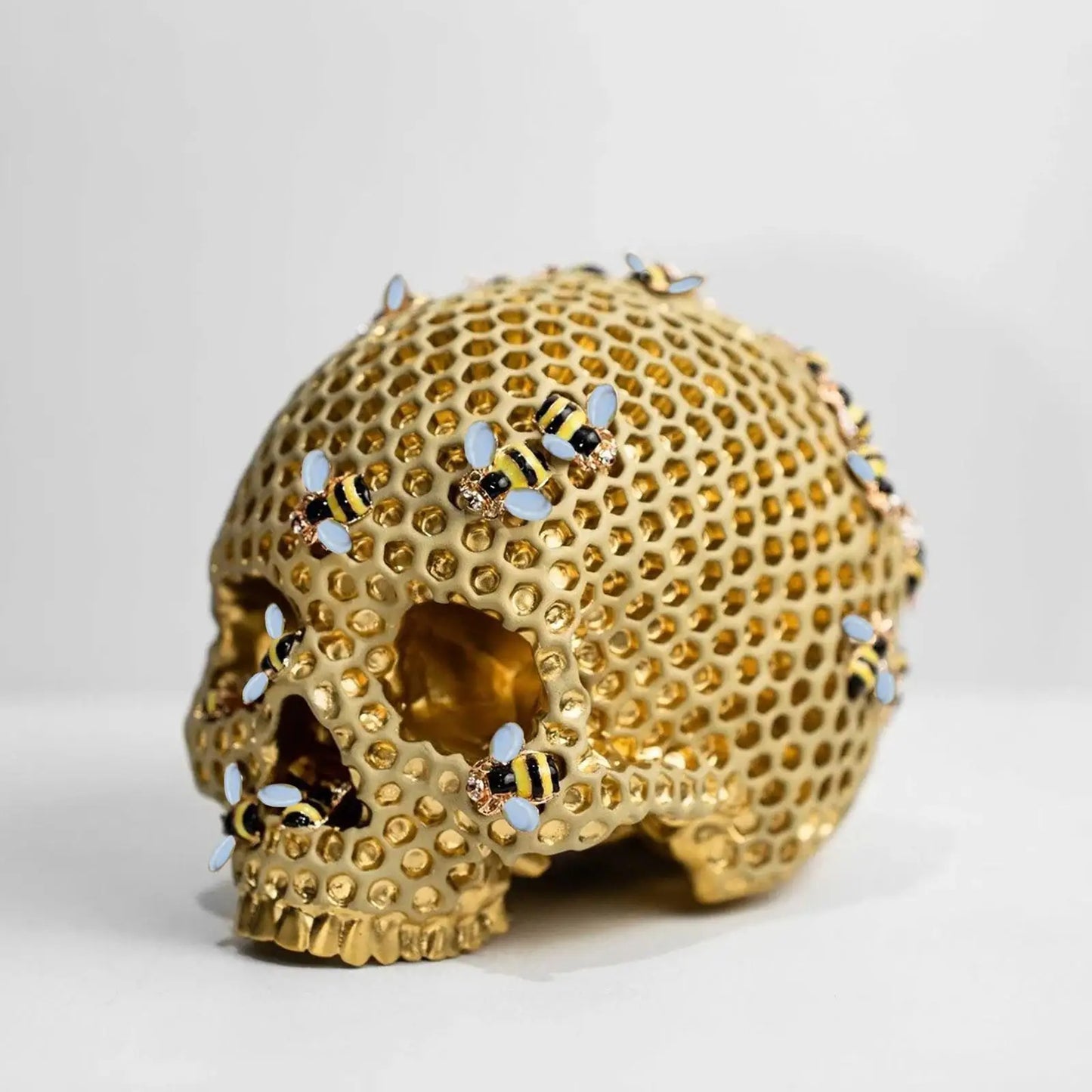 Honeycomb Skull