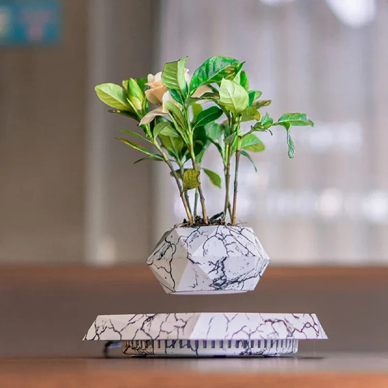 Float Botanicals 360° Levitating Planter