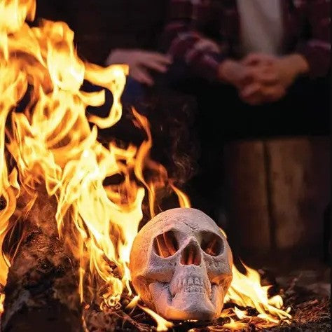 Flaming Fire Pit Skulls 6-Pack