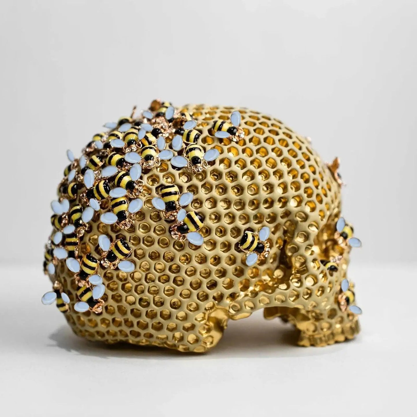 Honeycomb Skull