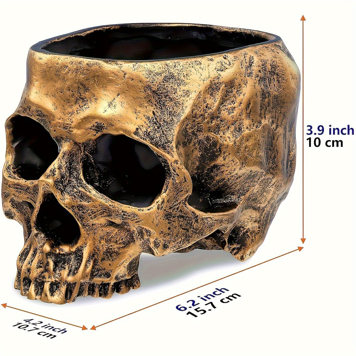 Sentinel Skull Storage Organizer