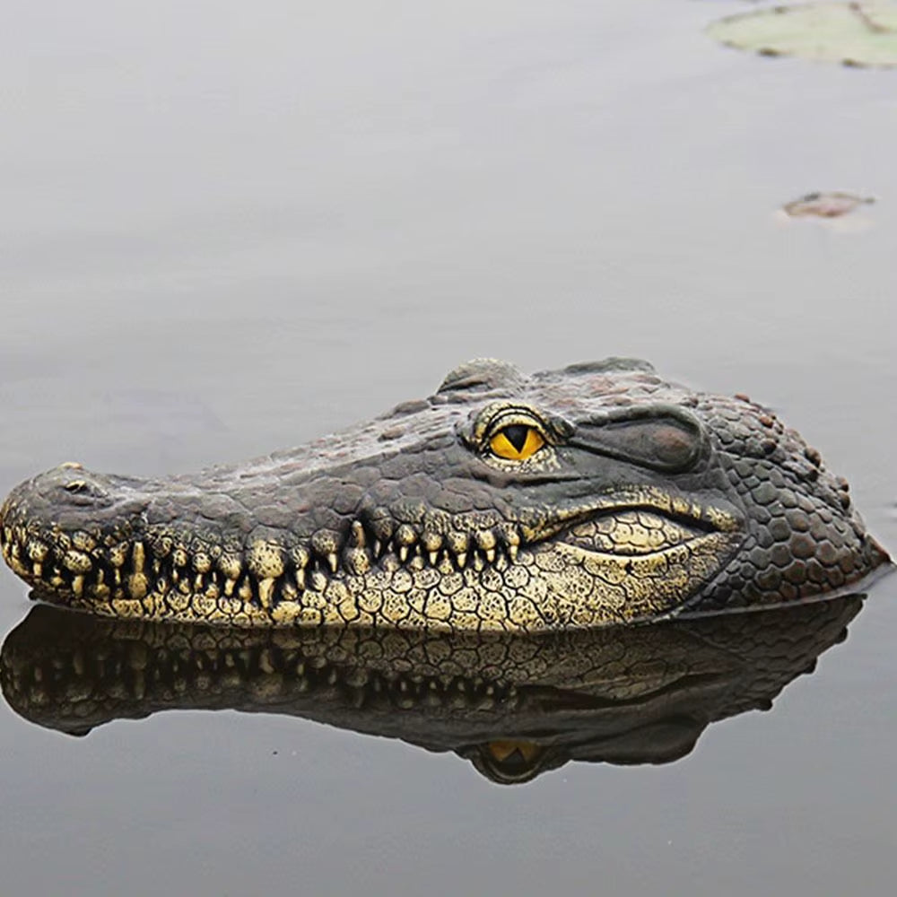 Floating Crocodile Head