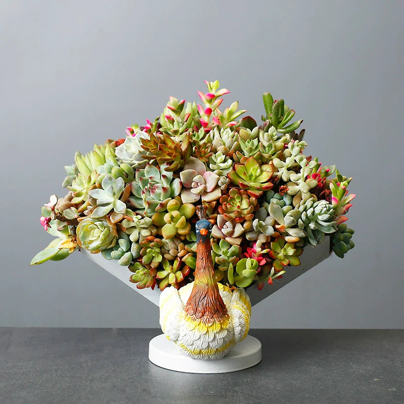 Profound Peacock Display Planter
