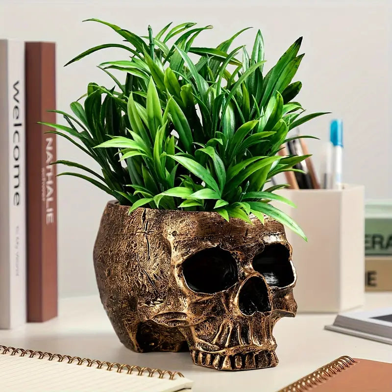 Sentinel Skull Storage Organizer