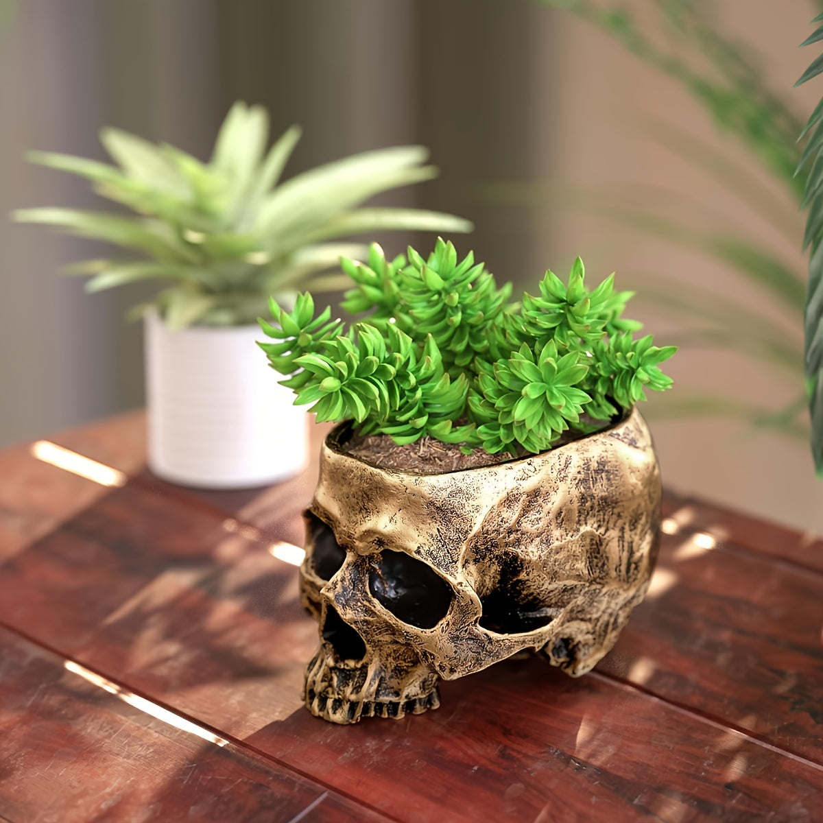 Sentinel Skull Storage Organizer