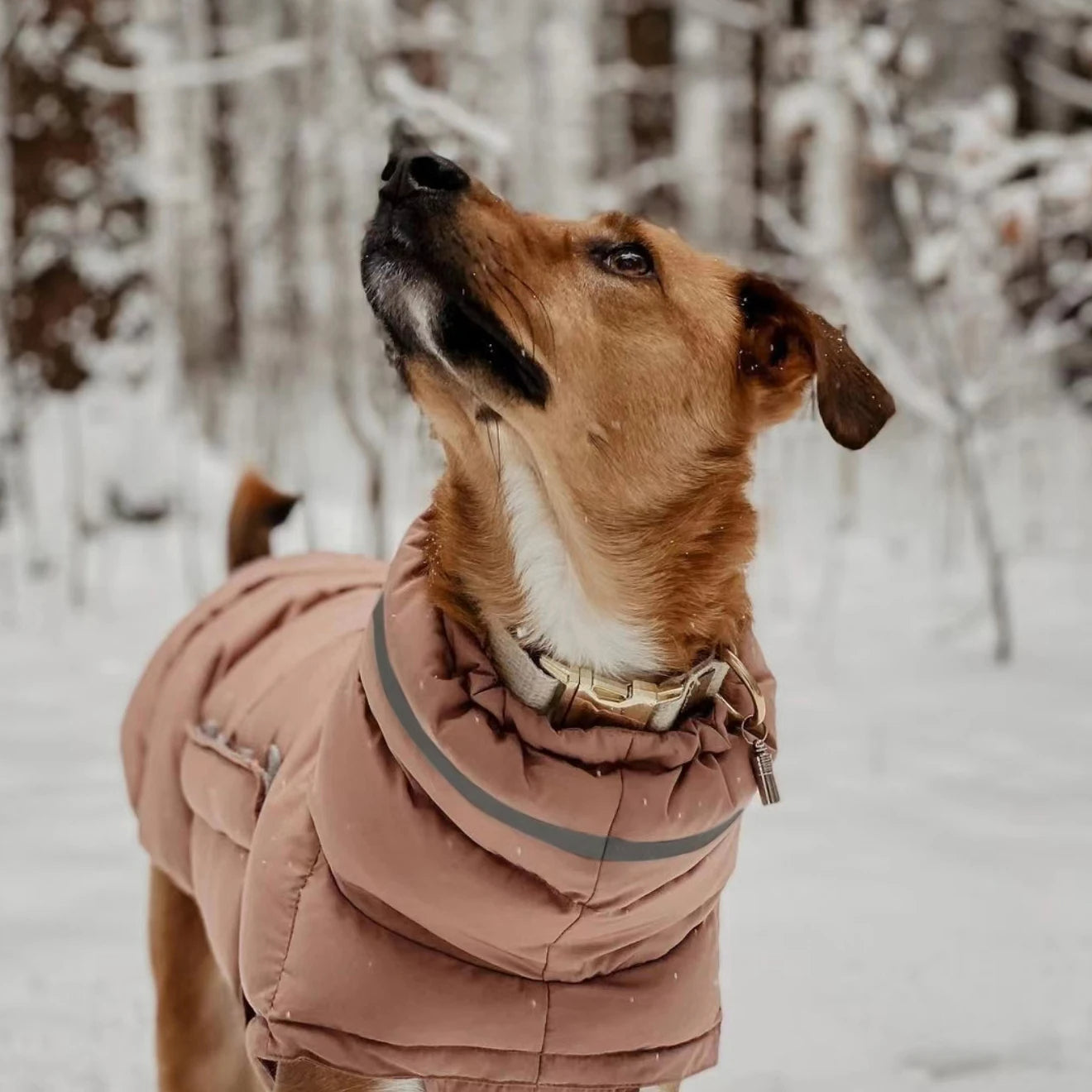 SnugPaws Winter Dog Down Jacket