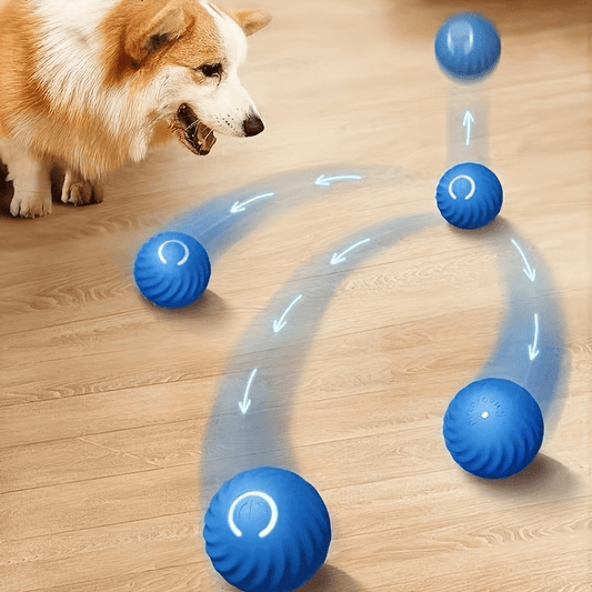 PawPlay Automatic Rolling Fetch Balls 2-Pack