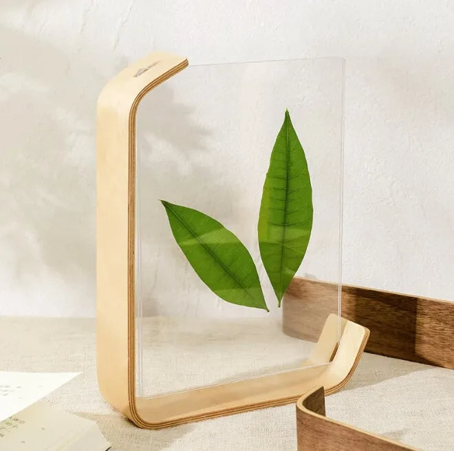 Contemporary Curved Wood Frame