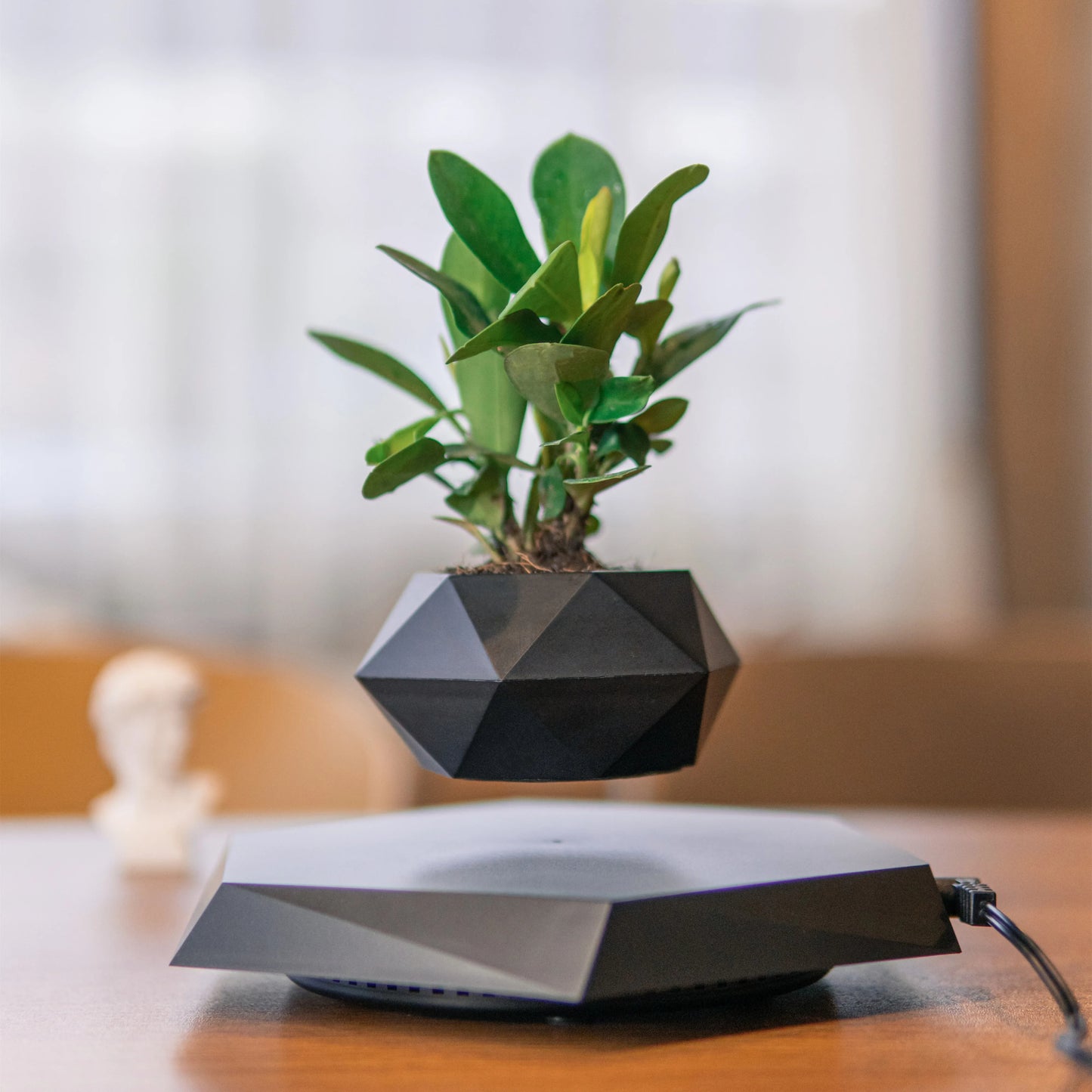 Float Botanicals 360° Levitating Planter