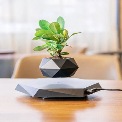 Float Botanicals 360° Levitating Planter