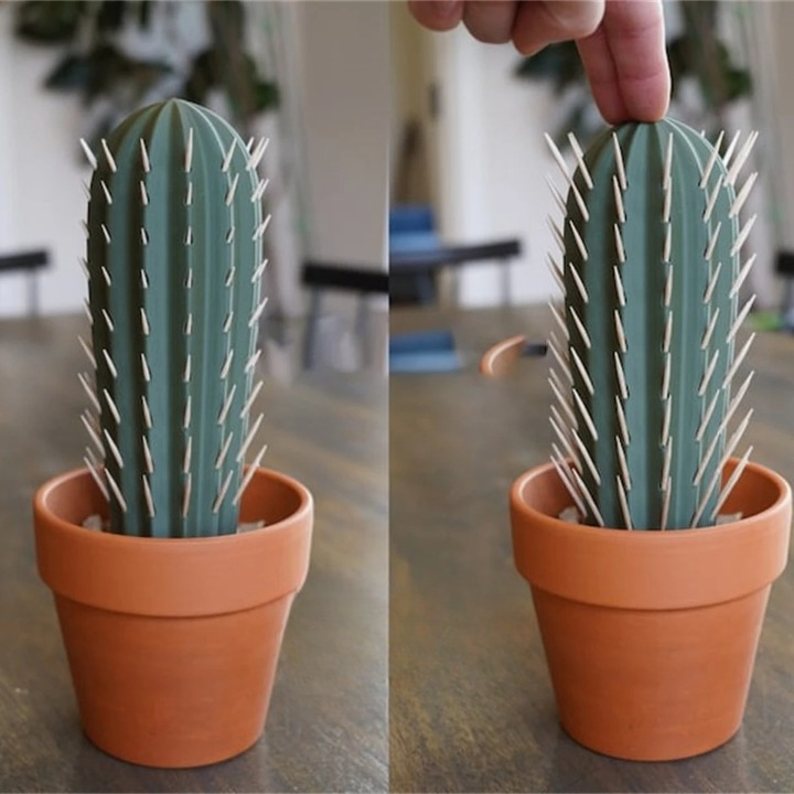 Cactus Toothpick Dispenser