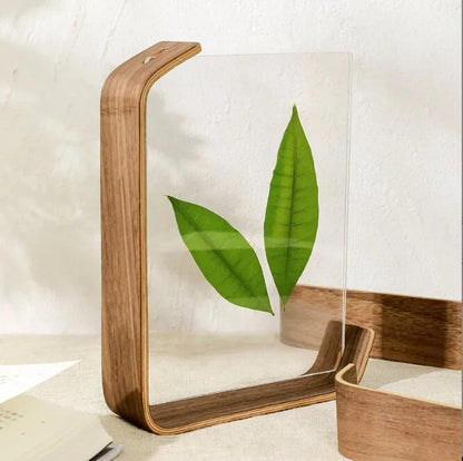 Contemporary Curved Wood Frame