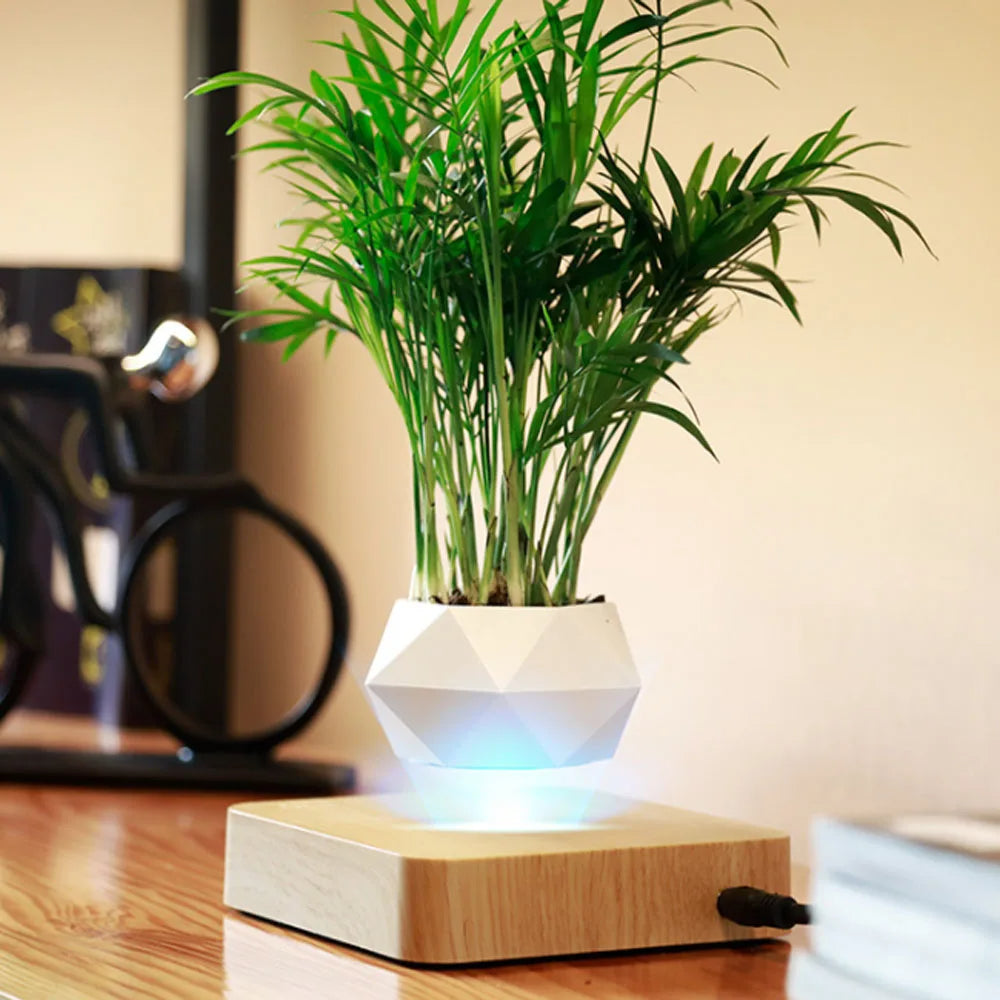 Float Botanicals 360° Levitating Planter