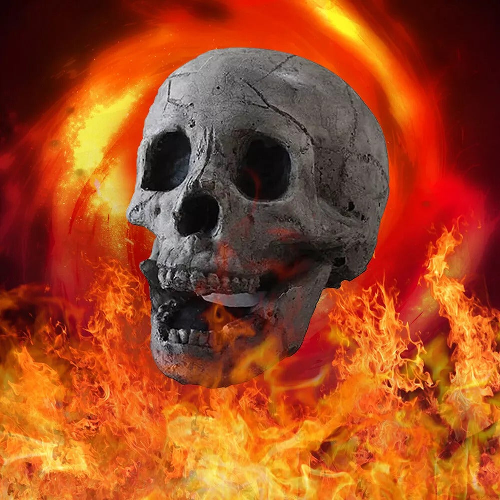 Flaming Fire Pit Skulls 6-Pack