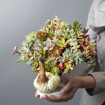 Profound Peacock Display Planter