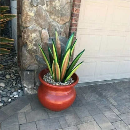 Agave Garden Accents