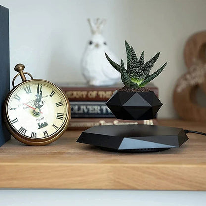 Float Botanicals 360° Levitating Planter