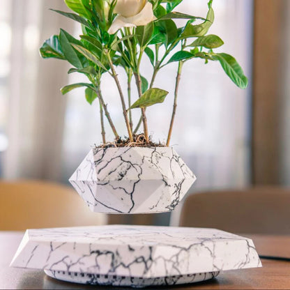 Float Botanicals 360° Levitating Planter