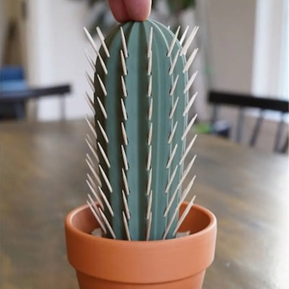 Cactus Toothpick Dispenser