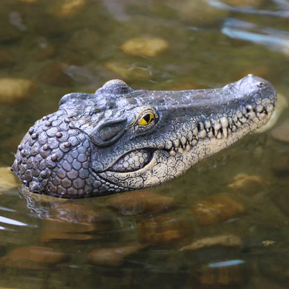 AquaCroc Floating Crocodile Head