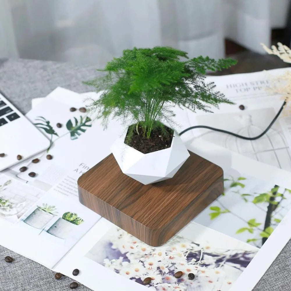 Float Botanicals 360° Levitating Planter