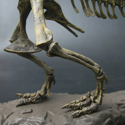 TyranoTech Interlocking T-Rex Skeleton Model