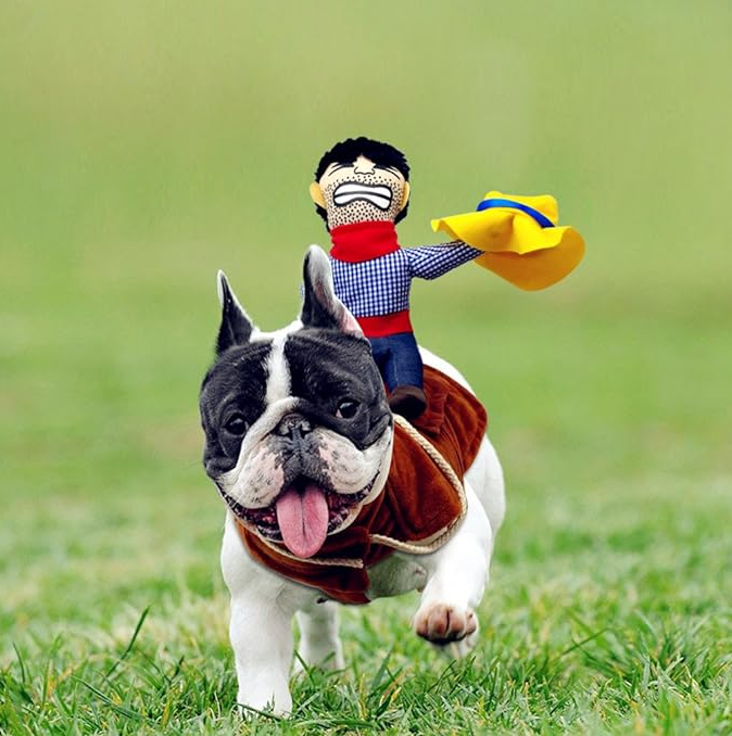 Wild West Cowboy Pet Costume