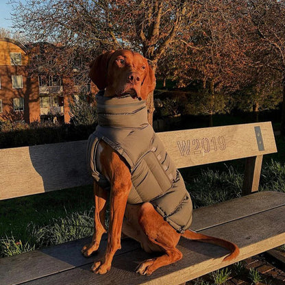 SnugPaws Winter Dog Down Jacket