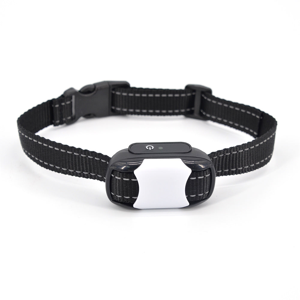 CalmCanine Serenity Training Collar