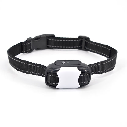 CalmCanine Serenity Training Collar