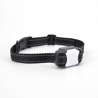 CalmCanine Serenity Training Collar