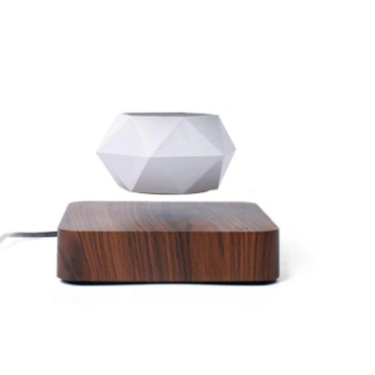 Float Botanicals 360° Levitating Planter