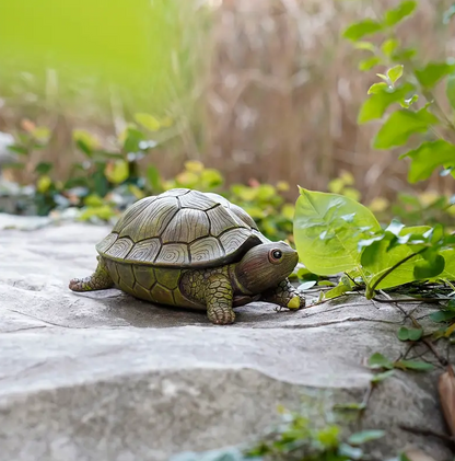 Enchanting Turtle Key Keeper